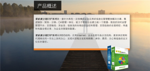 管家婆分销ERP V3