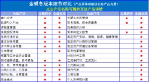 金蝶KIS迷你版